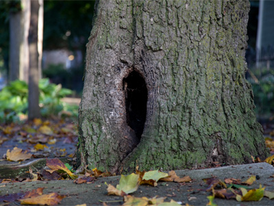 I dare you to stick your hand in there and count to ten.