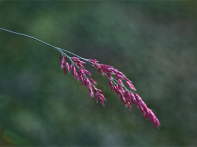 Not one of my better picture-taking days, I will admit.