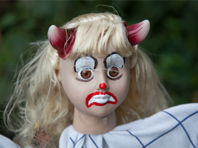 There are some new faces in my neighborhood.