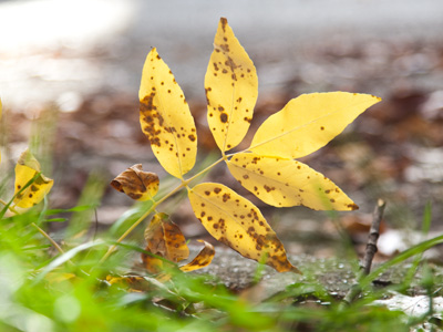 With the sun in my eyes, I saw nothing when I took this.