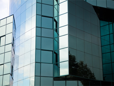 Can you see the tree?