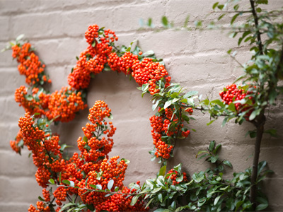 A flame of orange climbing up the wall.  Dial 9-1-1.