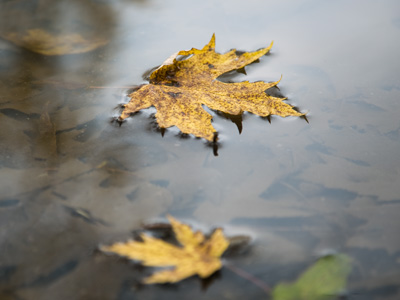 This annual routine has gone on for so very, very long.