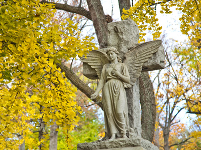 Taken from the comfort and warmth of my car.