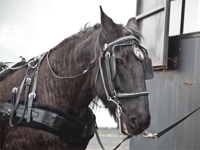 Waiting for a wedding.