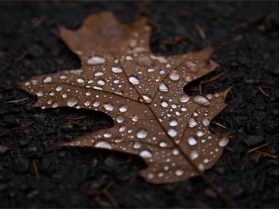 This dark picture was taken at high noon.