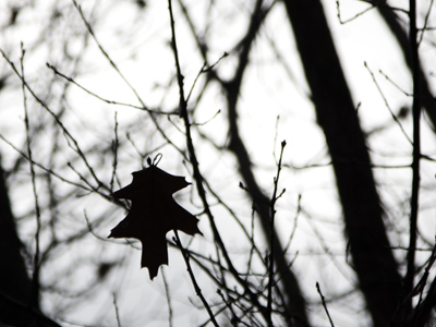 Hang in there, little guy.