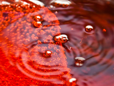 The highlight of dinner was the exploding pop bottle.