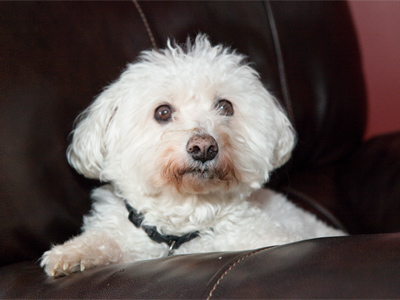 He`s able to change channels, but hasn`t figured out TiVo.