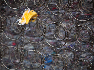 The first signs of spring.