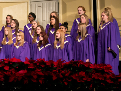 All the festive flowers make it hard for me to take pictures.