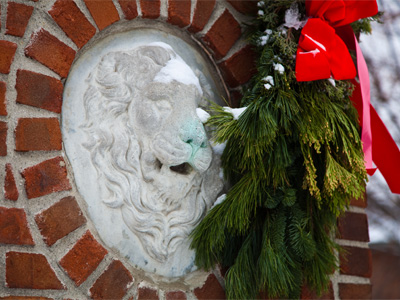 Picture of stuff with snow on it (2 of 5).