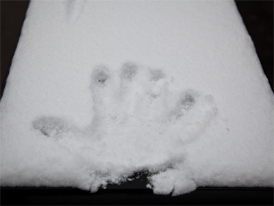 Picture of stuff with snow on it (4 of 5).