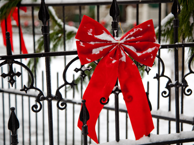 Picture of stuff with snow on it (5 of 5).