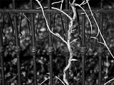 Everything`s just vine, thanks.