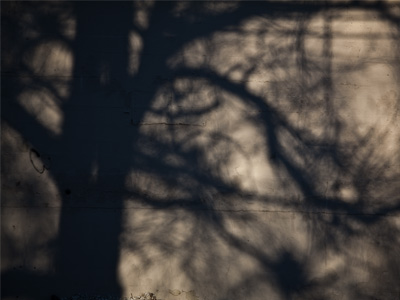 It was a shadowy day.