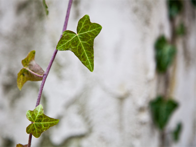 December 31:  just another day.