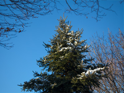 Meaningless picture taken as I walked hurriedly home from work.