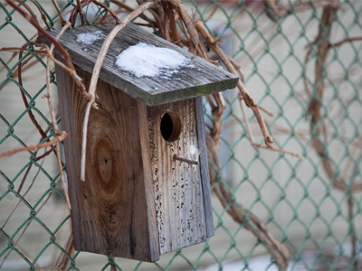 `Pass the peanut butter.`