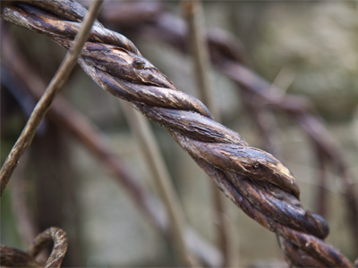 This reminded me of a painting seen on March 26, 2010.