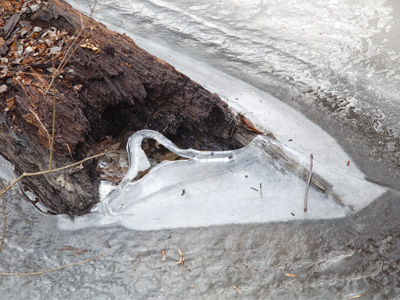 Watch out, ice snake!