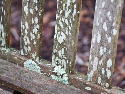 Someone needs to floss this bench more often.