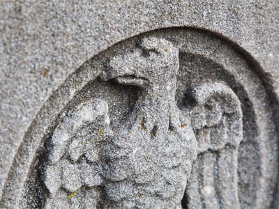 I hope I can take a picture of a cool bird with a long beak.