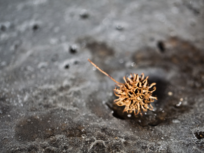 I`m tired of wearing my boots every day.