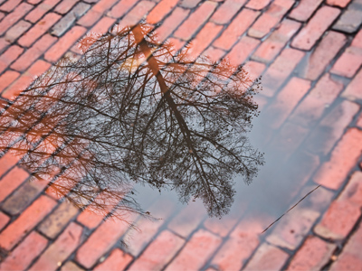 What happens when the world melts.