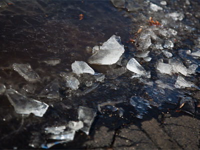 Ice in the parking lot at 12:43pm.