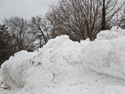 I needed a Sherpa guide on my walk to work this morning.