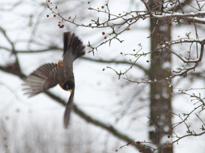 Graceful moves like this will put him into the medal round.