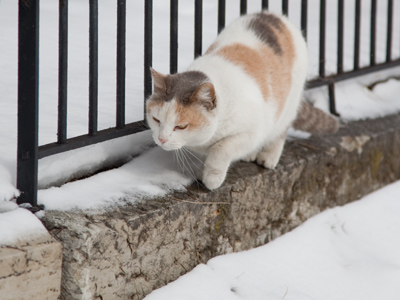 We both despise snow.