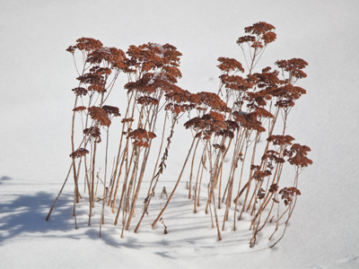 Summer`s last stand.