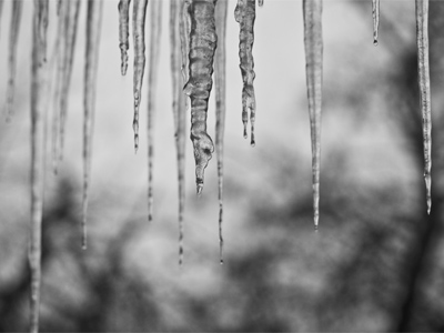 Out the kitchen window at 8:43pm.