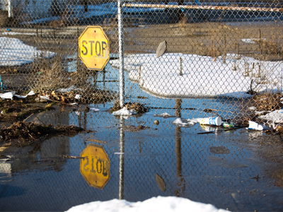 This was just one of many puddle pictures I took today.