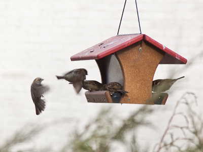 `Hold on.  May I see your invitation?`