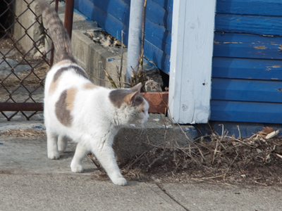 That`s as good as it gets today, Day 3562 of daily photos.