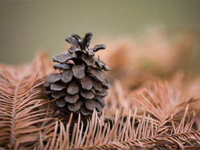 Only 22 days until spring.