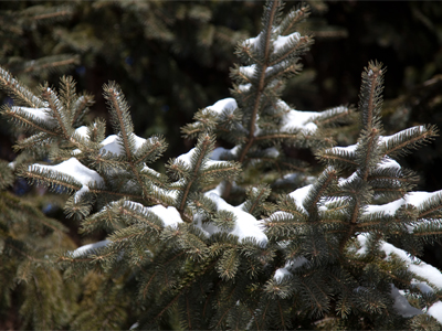 It`s starting to melt already.