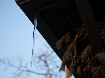 It was the only one in sight.  Maybe the first, maybe the last.