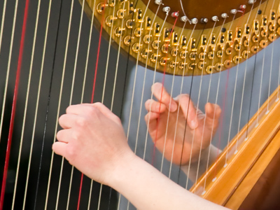 That`s one complicated instrument.