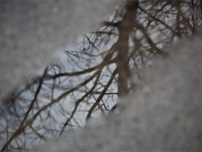 March showers bring March puddles.