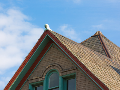 I don`t expect you to understand why I take these pictures.