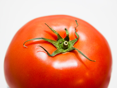 Prepare to meet The Knife!