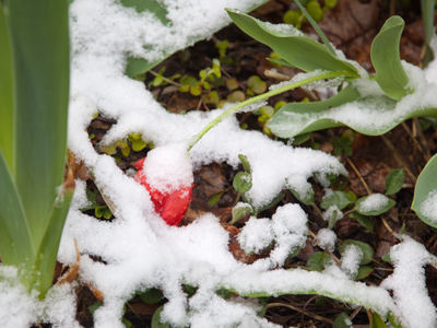 Don`t like Ohio weather?