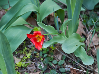 Just wait five minutes.