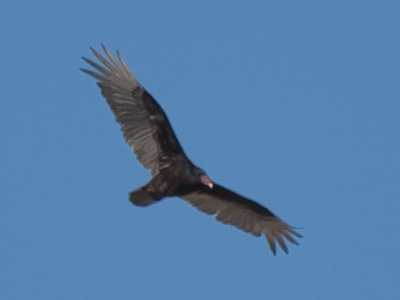 No, I`m fine.  Stop following me.  It`s just a cough.