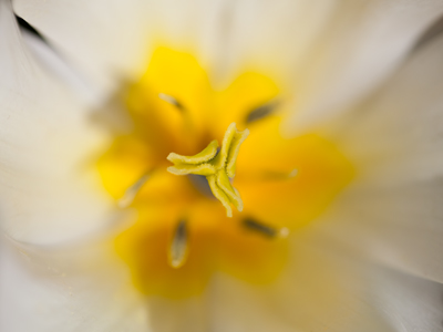 Closer, ever closer.