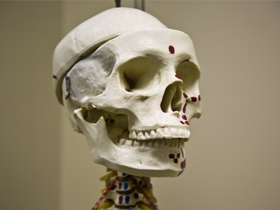 One cannot be a successful portrait photographer without a strong understanding of human anatomy and physiology.